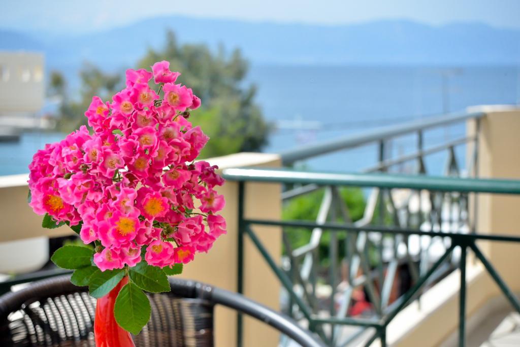 Evia Studios Лутра-Эдипсу Номер фото